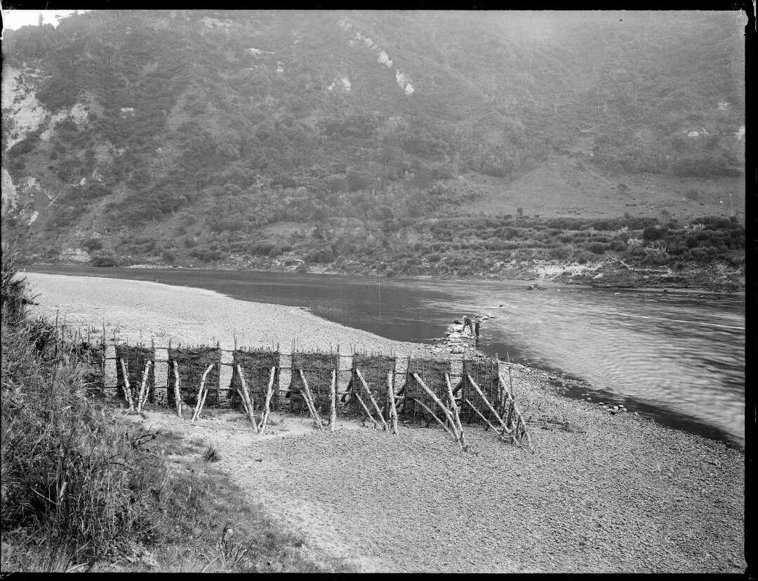 Eel or fish weir at Pungarehu, on the banks of the Whanganui River. Whole-plate collodion silver glass negative. Photographer: William Harding, between 1856 and 1889. Ref. 1/1-000483-G. Alexander Turnbull Library, William James Harding Collection.